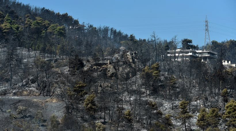 Οικολογική καταστροφή στην Αττική: 30 χρόνια για να αποκατασταθούν τα καμένα, λένε περιβαλλοντολόγοι